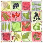 Postkarte Bltter & Beeren