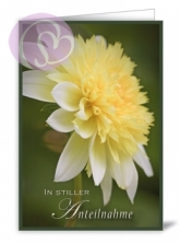 Klappkarte Perlmutt, In stiller Anteilnahme