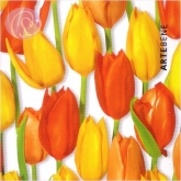Geschenkkarte Tulpen (5 Stck)