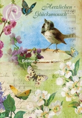 Klappkarte Herzlichen Glckwunsch, Kohlmeise