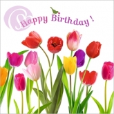 Klappkarte Happy Birthday, Tulpen