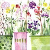 Postkarte Frhlingsblten