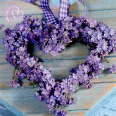 Postkarte Vergimeinnicht-Herz