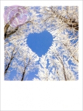 Postkarte Rauhreifherz