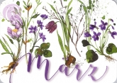 03/ Postkarte Mrz, Blumenwiese
