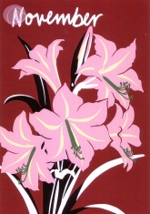 11/ Postkarte November, Flowers