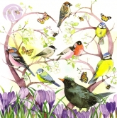 Postkarte Vgel in Herz aus Zweigen