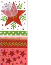 Geschenkkarte Stern (5 Stck)