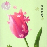 Geschenkkarte Tulpe, pink (5 Stck)