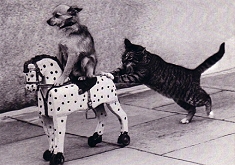 Postkarte Valet Parking