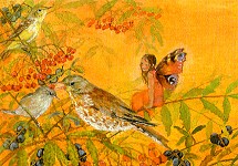 Postkarte Elfenland 2