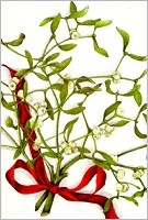 Geschenkkarte Mistelzweig (5 Stck)