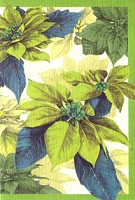 Geschenkkarte Weihnachtssterne (5 Stck)