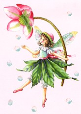 Postkarte Elfe mit Christrose