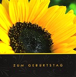 Postkarte Geburtstag, Sonnenblume