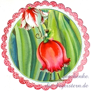 Postkarte Tulpe