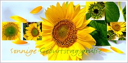 Postkarte Sonnige Geburtstagsgre