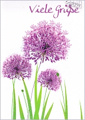 Klappkarte Viele Gre (5 Stck)