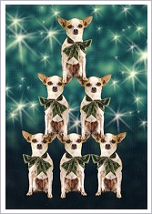 Postkarte Fiffi's Christmas-Show