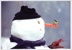 Postkarte Groer weier Freund