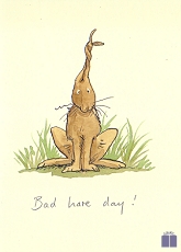 Klappkarte Bad hare day