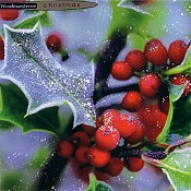 Klappkarte First Frost