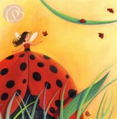 Postkarte Marienkfer