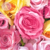 Geschenkkarte Rosencollage, pink (5 Stck)