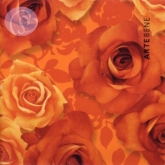 Geschenkkarte Rosenblten, terrakotta (5 Stck)