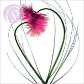 Postkarte Blumenherz