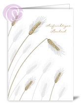 Trauerkarte Ivory White, Aufrichtiges Beileid