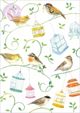 Postkarte Vgel & Vogelkfige