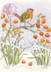 Postkarte Robin and Rosehips
