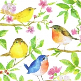 Postkarte Vgel in Zweigen