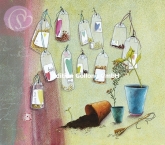 Klappkarte Blumentpfe