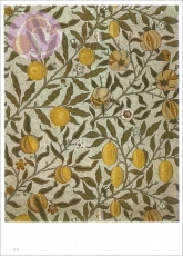 Postkarte Fruit or Pomegranate