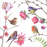 Postkarte Gartenvgel