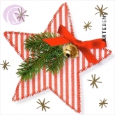 Geschenkkarte Weihnachtsstern (10 Stck)
