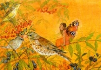 Postkarte Elfenland 2