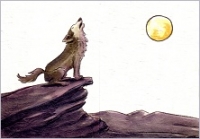 Faltkarte Baby/Geburt, Wlfe