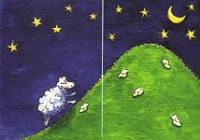 Faltkarte Schaf und Sterne