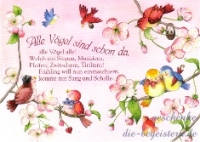 Postkarte Alle V�gel