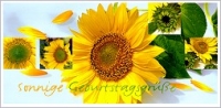 Postkarte Sonnige Geburtstagsgre