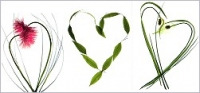 Fold'n Please - Hearts 1