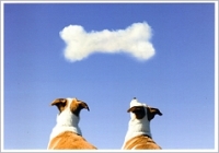 Postkarte Wolkentrume