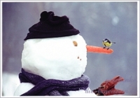 Postkarte Groer weier Freund