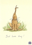 Klappkarte Bad hare day